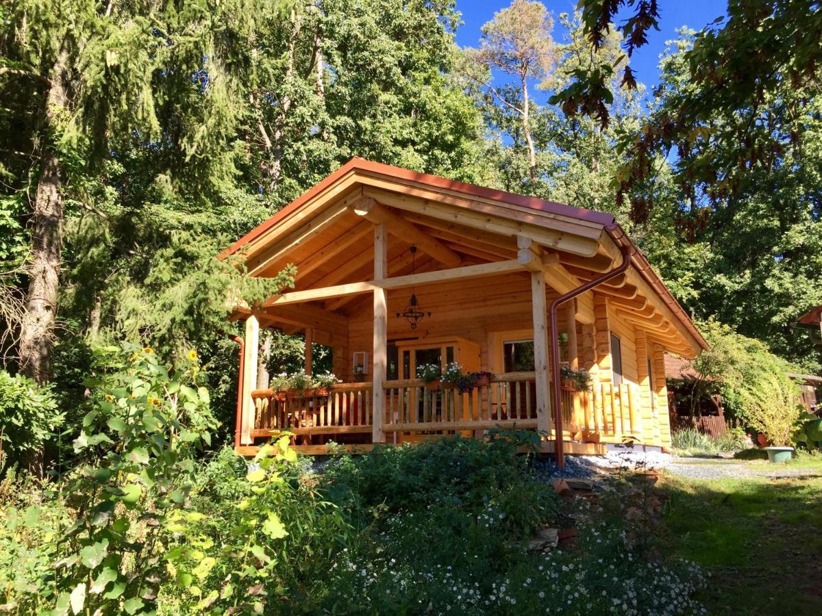 Oberschützen Blockhaus Chalet Mit Beheizbarem Badefass Und Infrarotsauna Auf Der Terrasse מראה חיצוני תמונה
